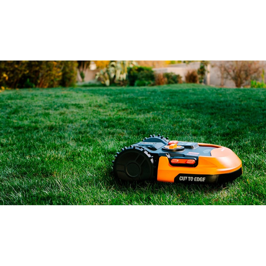 Corta lo más cerca del...